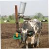 DECOMELODY Automatic Livestock Waterer, Plastic High-Capacity Water Dispenser view 4