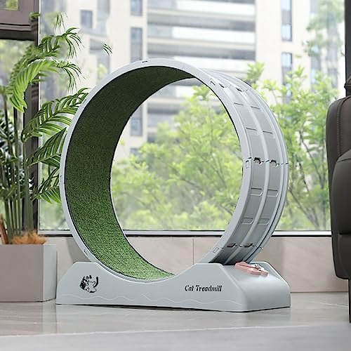 Cat Exercise Wheel for Indoor Cats with Locking Mechanism