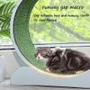 Cat Exercise Wheel for Indoor Cats with Locking Mechanism view 2