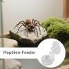 Reptile Feeding Bowl with Suction Cup view 2