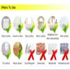 Popcorn Wall Sticker with Thumbs-Up Cartoon, 42 x 43 cm view 4
