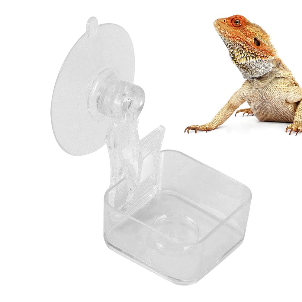 Feeder for Small Reptiles with Suction Cup