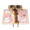 Absorbent Non-Slip Feeding Mat for Dog Bowls view 1
