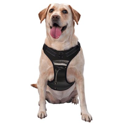 Medium Printed Molded Harness for Dogs