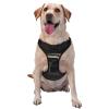 Medium Printed Molded Harness for Dogs view 1