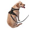 Medium Printed Molded Harness for Dogs view 2
