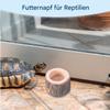 Wooden Reptile Water and Feeding Bowl view 2
