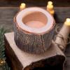 Wooden Reptile Water and Feeding Bowl view 3