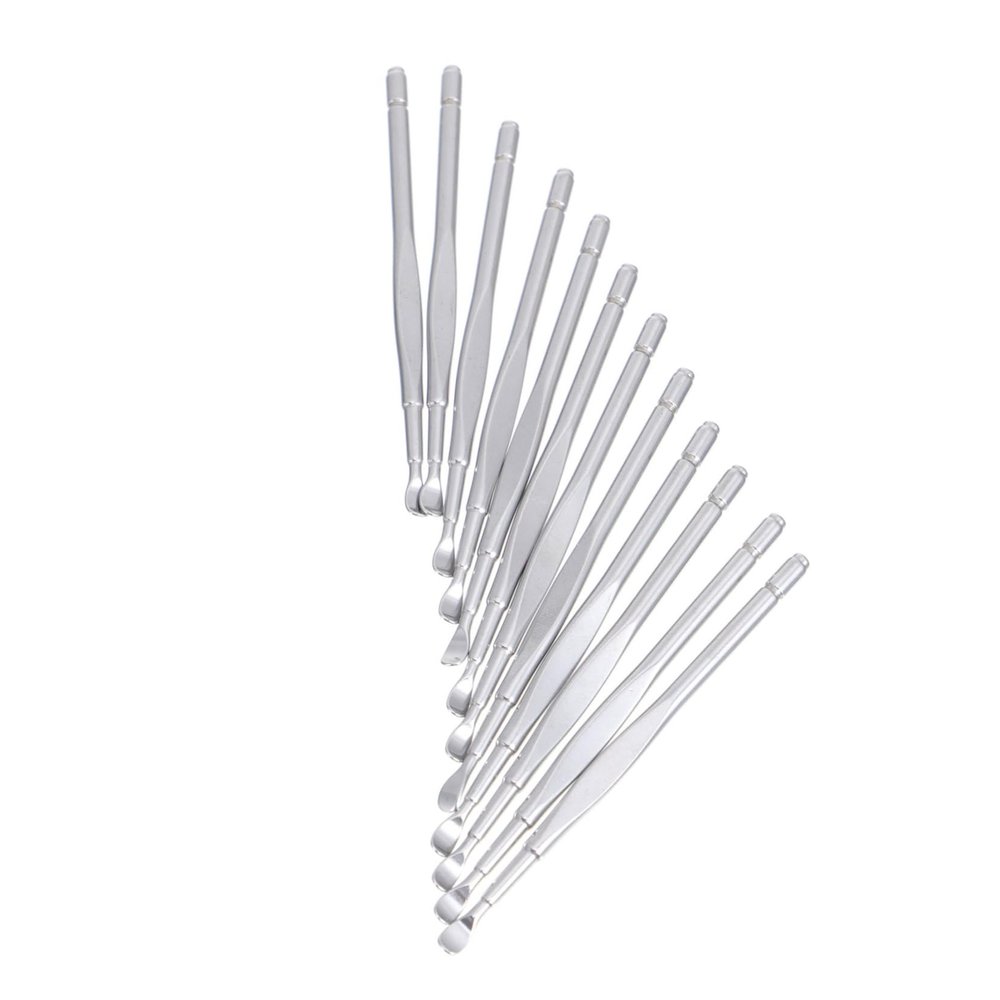 12-Piece Stainless Steel Ear Spoons, Silver