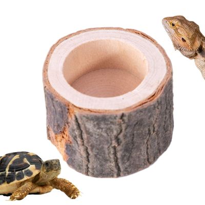 Generic Turtle Feeding Bowl - Reptile Food Dish
