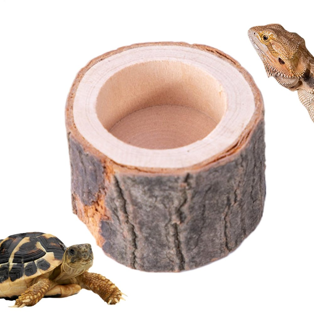 Generic Turtle Feeding Bowl - Reptile Food Dish