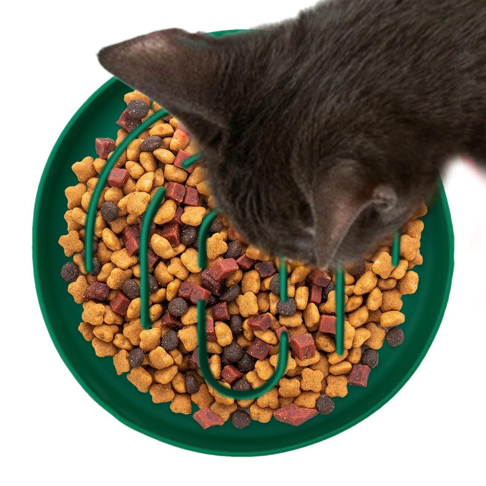 Slow Feeder Dog Bowl