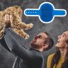 Cat Grooming Brush - Pet Comb with Soft Bristles view 3