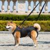 Dog Lift Support Harness for Puppies and Senior Dogs view 2
