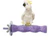 Multi-Functional Bird Perch and Chew Stick view 1