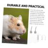 iplusmile 2-Pack Pet Water Bottle view 2