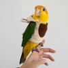 Bird Clothing for Parrots - Comfortable and Warm Outfit view 2