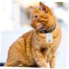 ERINGOGO Pet ID Tags Stainless Steel 4 Pack view 3
