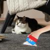 Yianyal Pet Hair Remover Tool for Carpet and Upholstery view 3