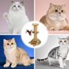 Cat Scratching Ball Toy view 4