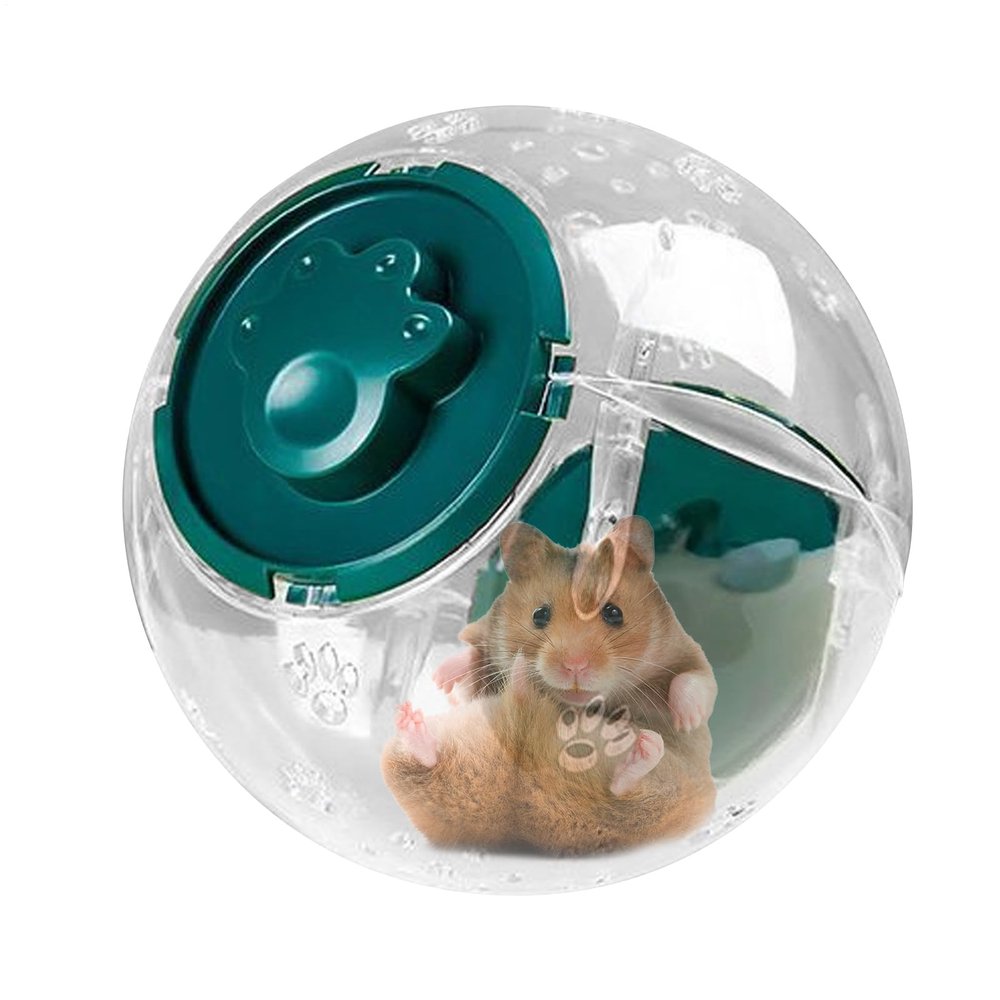 Hamster Exercise Ball for Play and Fitness