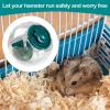 Hamster Exercise Ball for Play and Fitness view 2