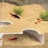 Aquarium Tunnel and Fish Hide view 2