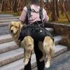 Multifunctional Dog Carrier Hiking Backpack view 2