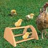 Wooden Perch with Mirror for Chickens view 3