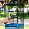 HANABASS Bird Cage Cleaning Scraper Brush, Black view 4