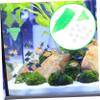 Toddmomy 10-Pack Fish Feeder with Suction Cup view 4