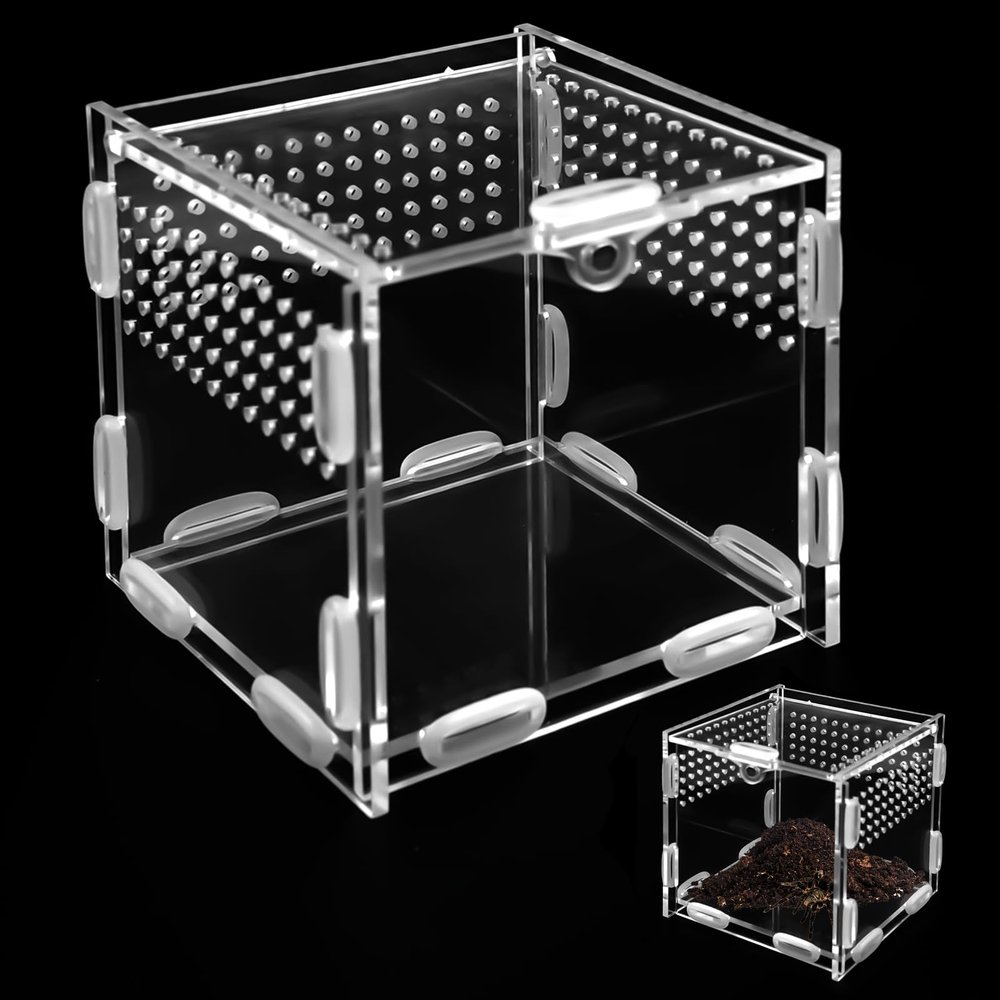 Reptile Feeding Box