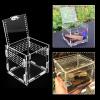 Reptile Feeding Box view 4