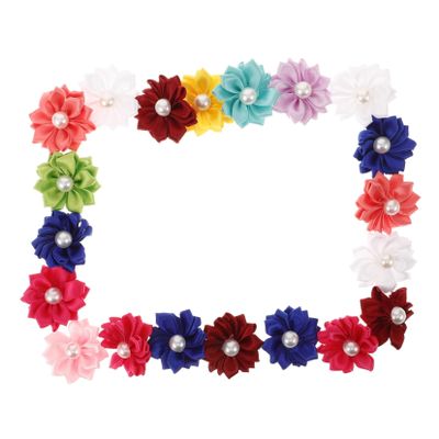 NOLITOY Creative Pet Hair Clips - 20 Pack