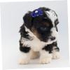 NOLITOY Creative Pet Hair Clips - 20 Pack view 4