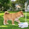Interactive Dog Water Fountain with Paw-Activated Sprayer view 2