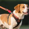 Dog Leash Clip | Durable Safety Clip for Pet Leashes view 2
