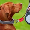 Dog Leash Clip | Durable Safety Clip for Pet Leashes view 3