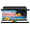 Aquarium Background Poster Sticker - Sunset Clouds Design view 2
