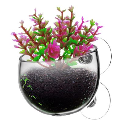 Aquarium Plant Holder with Suction Cup