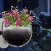 Aquarium Plant Holder with Suction Cup view 3