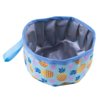 Foldable Nylon Dog Bowl, Large-Capacity Outdoor Travel Bowl