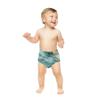 Baby Boys' Potty Training Underwear Set, Multicolor 05, 4 Years view 2