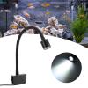 Spacnana Clip-On Aquarium Light for 3–6 Gallon Tanks view 3
