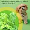 CaplinTec Outdoor Dog Deterrent Spray, Natural Urine Control, 1 L view 2