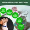 CaplinTec Outdoor Dog Deterrent Spray, Natural Urine Control, 1 L view 3
