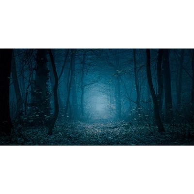 MIRRORANG 120 x 46 cm Gothic Aquarium Background, Forest Trees at Night, Halloween Vinyl, Spooky, for 20-Gallon Aquariums