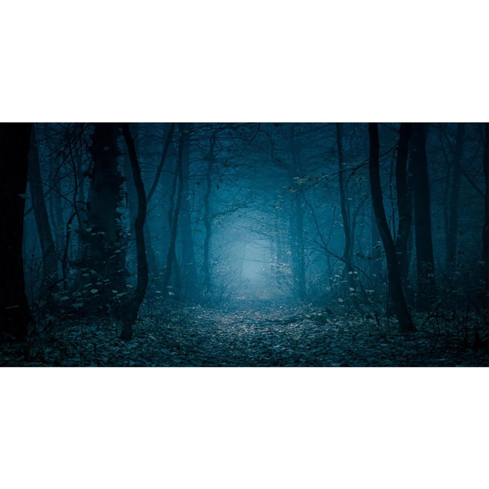 MIRRORANG 120 x 46 cm Gothic Aquarium Background, Forest Trees at Night, Halloween Vinyl, Spooky, for 20-Gallon Aquariums
