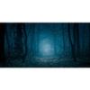 MIRRORANG 120 x 46 cm Gothic Aquarium Background, Forest Trees at Night, Halloween Vinyl, Spooky, for 20-Gallon Aquariums view 1