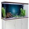 MIRRORANG 120 x 46 cm Gothic Aquarium Background, Forest Trees at Night, Halloween Vinyl, Spooky, for 20-Gallon Aquariums view 3